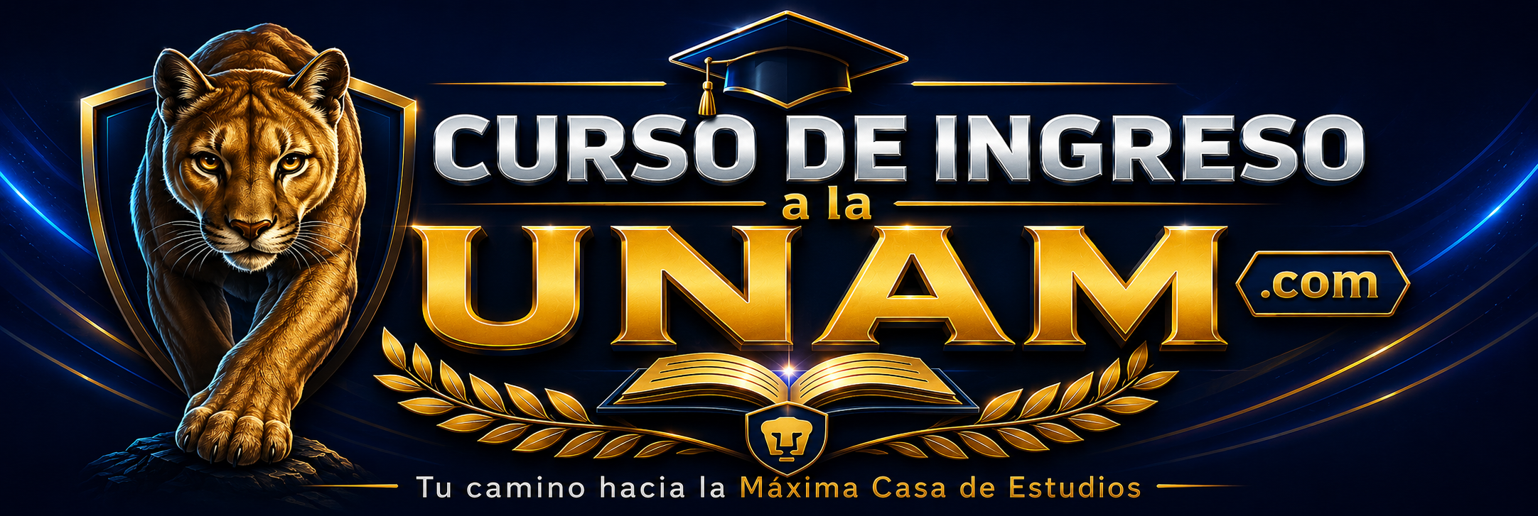 cursodeingresoalaunam.com